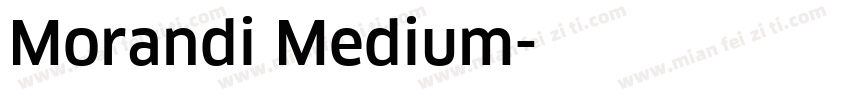 Morandi Medium字体转换